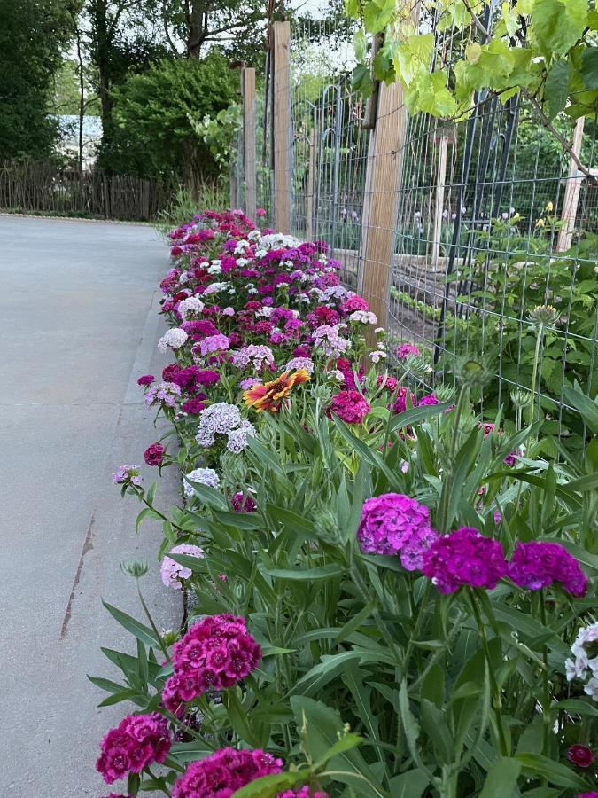 Gillen House Bed And Breakfast Maxeys Екстериор снимка